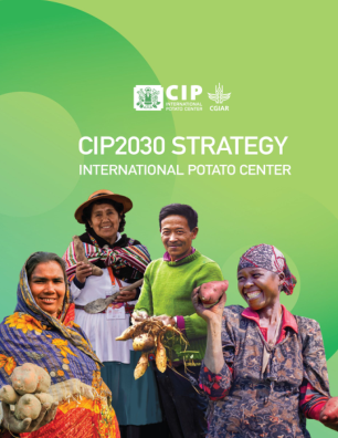 CIP 2030 战略
